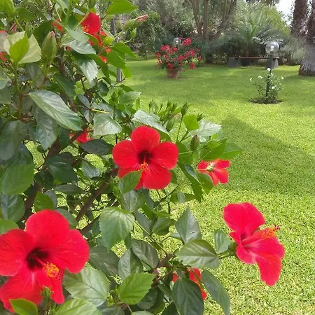 Vittoria Holiday home Acireale